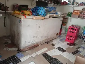 Nigeria Used Double Door Deep Freezer