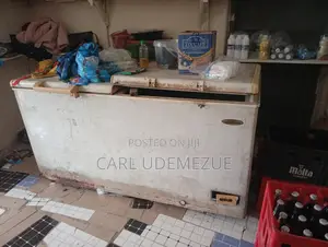 Nigeria Used Double Door Deep Freezer