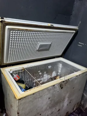 LG Deep Freezer 250l