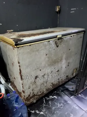 LG Deep Freezer 250l