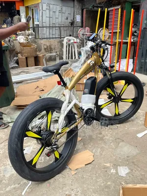 Electric Bicycle American Fitness Quality