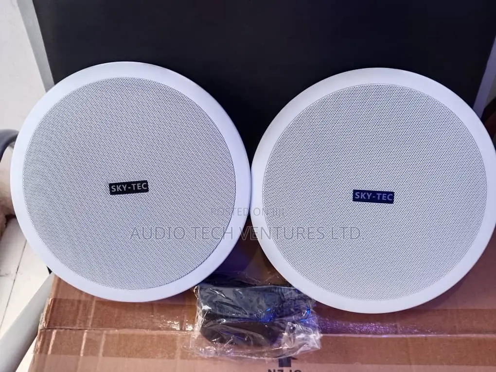 Sky Tec Bluetooth Speaker 2 1n 1