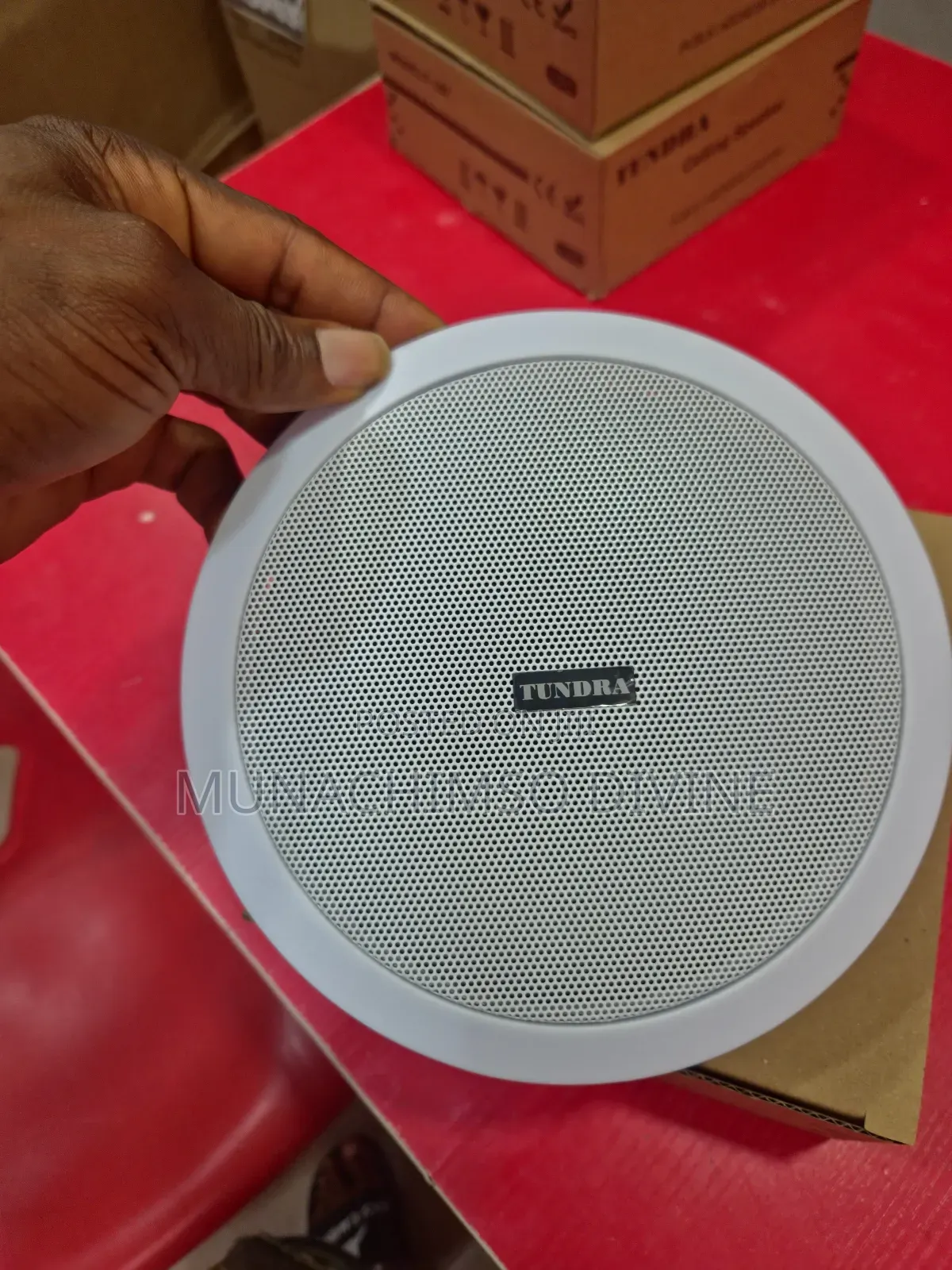10watts Tundra Celling Speaker