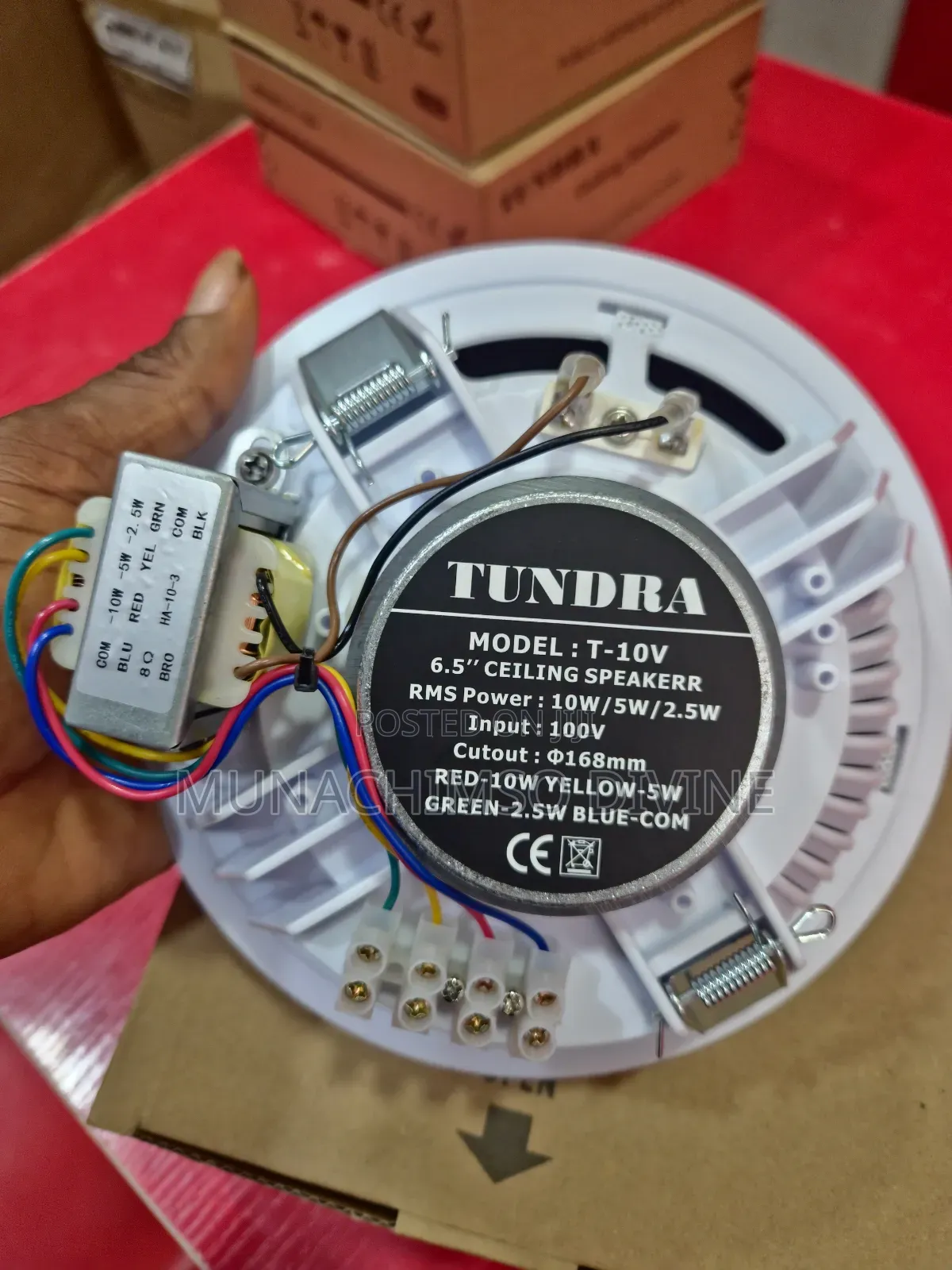 10watts Tundra Celling Speaker