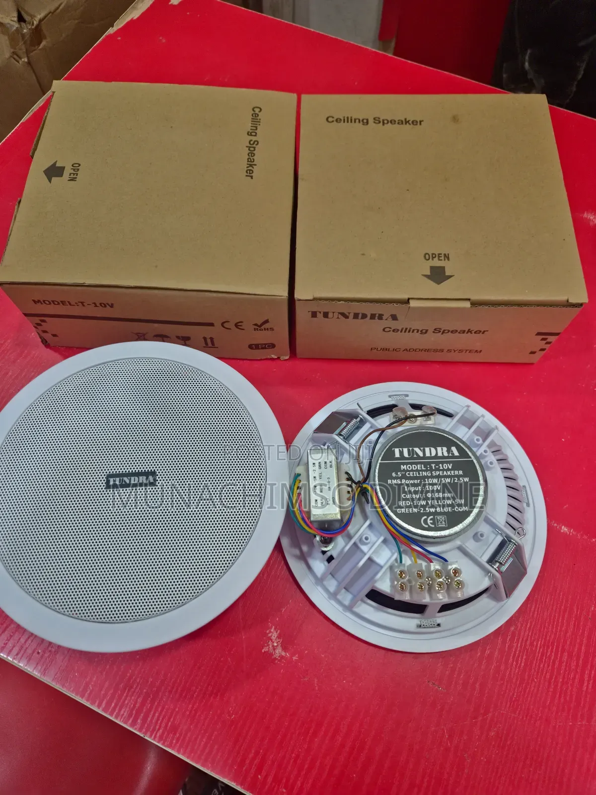 10watts Tundra Celling Speaker