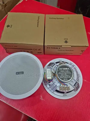 10watts Tundra Celling Speaker