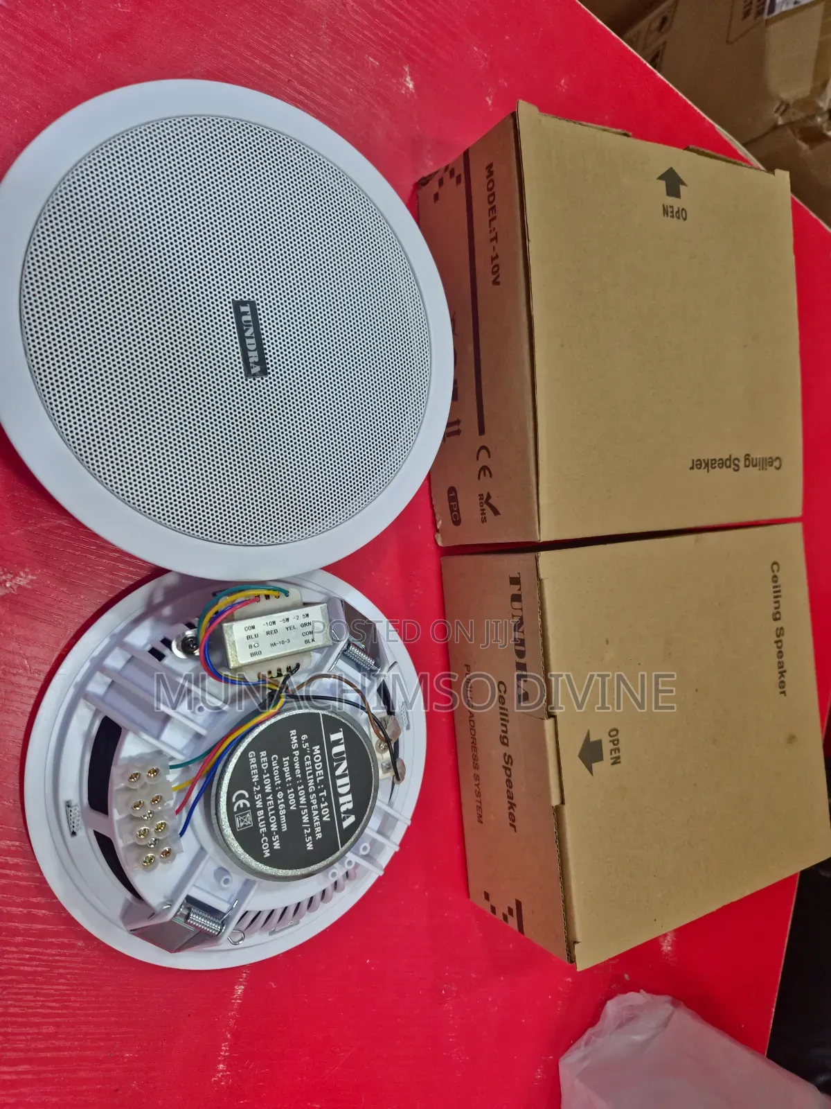 10watts Tundra Celling Speaker