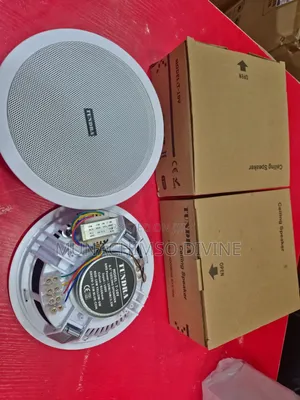 10watts Tundra Celling Speaker