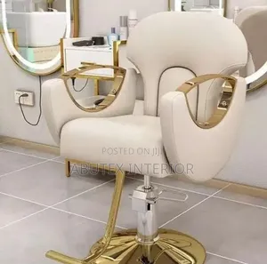 Luxury Lucrative Designed Saloon Seats