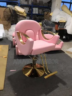 Luxury Lucrative Designed Saloon Seats