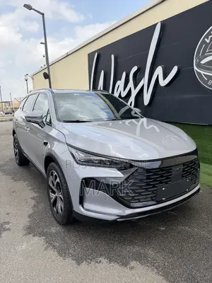 New BYD Tang DM-i 2025 Gray
