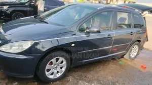 Peugeot 307 2004 Blue