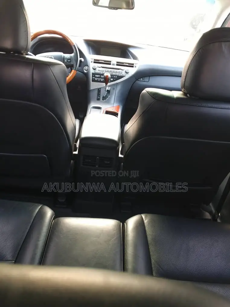 Lexus RX 2010 Gray