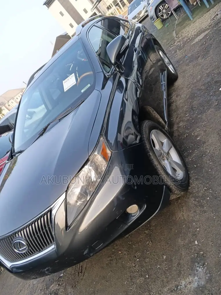 Lexus RX 2010 Gray
