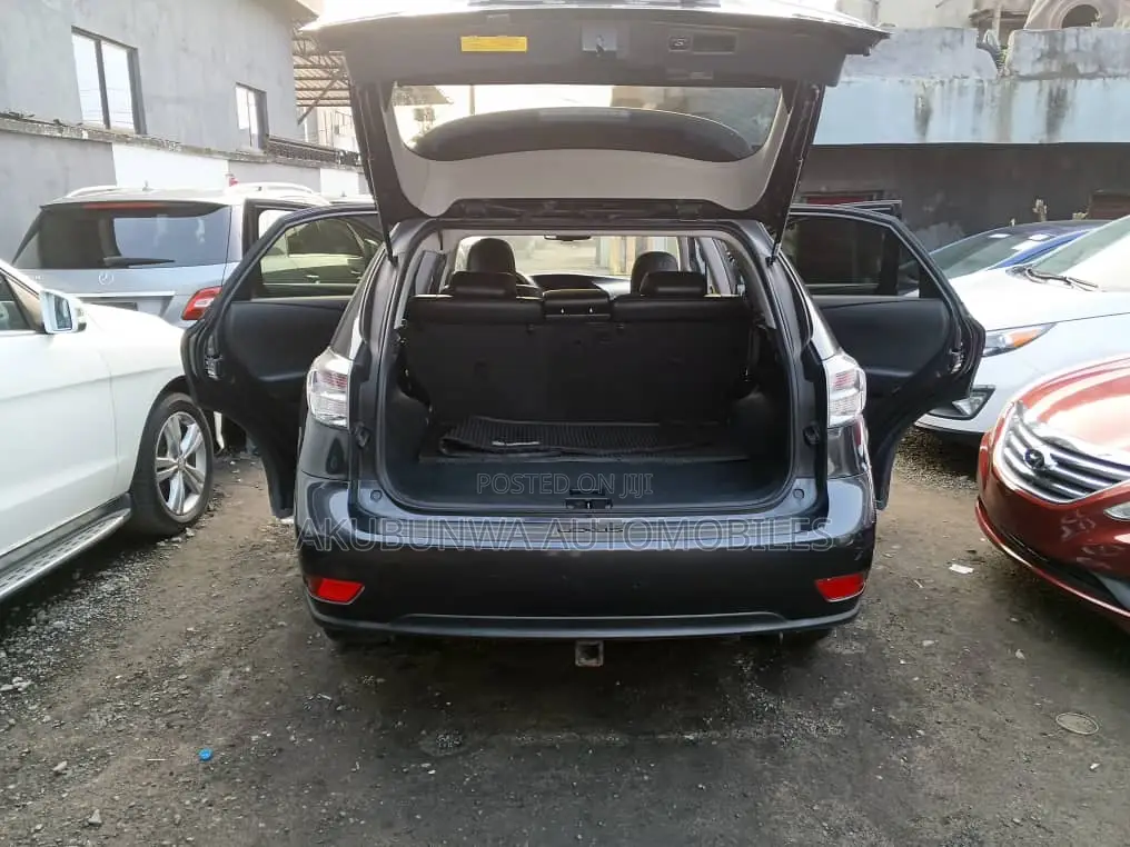 Lexus RX 2010 Gray