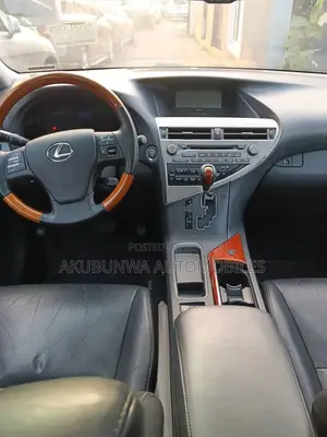 Lexus RX 2010 Gray