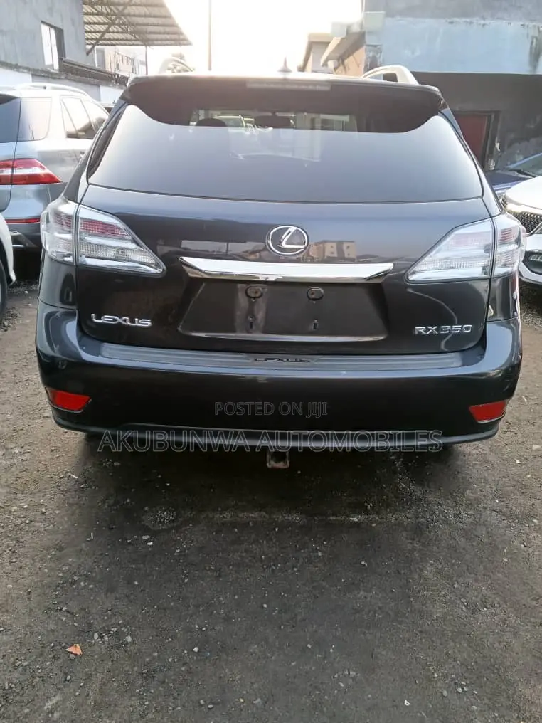 Lexus RX 2010 Gray