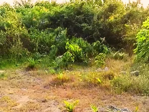 Hot Prime Plot of Land (450sqm) Along Major Road in Mgbarakuma - ₦10m
