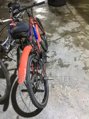 Bicycle Buy and Ride