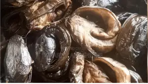 Dry Catfish
