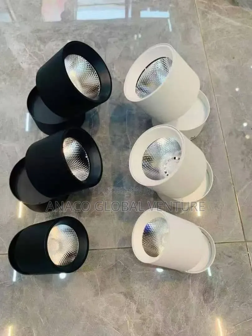Led Adjustable Down Light White and Black Body