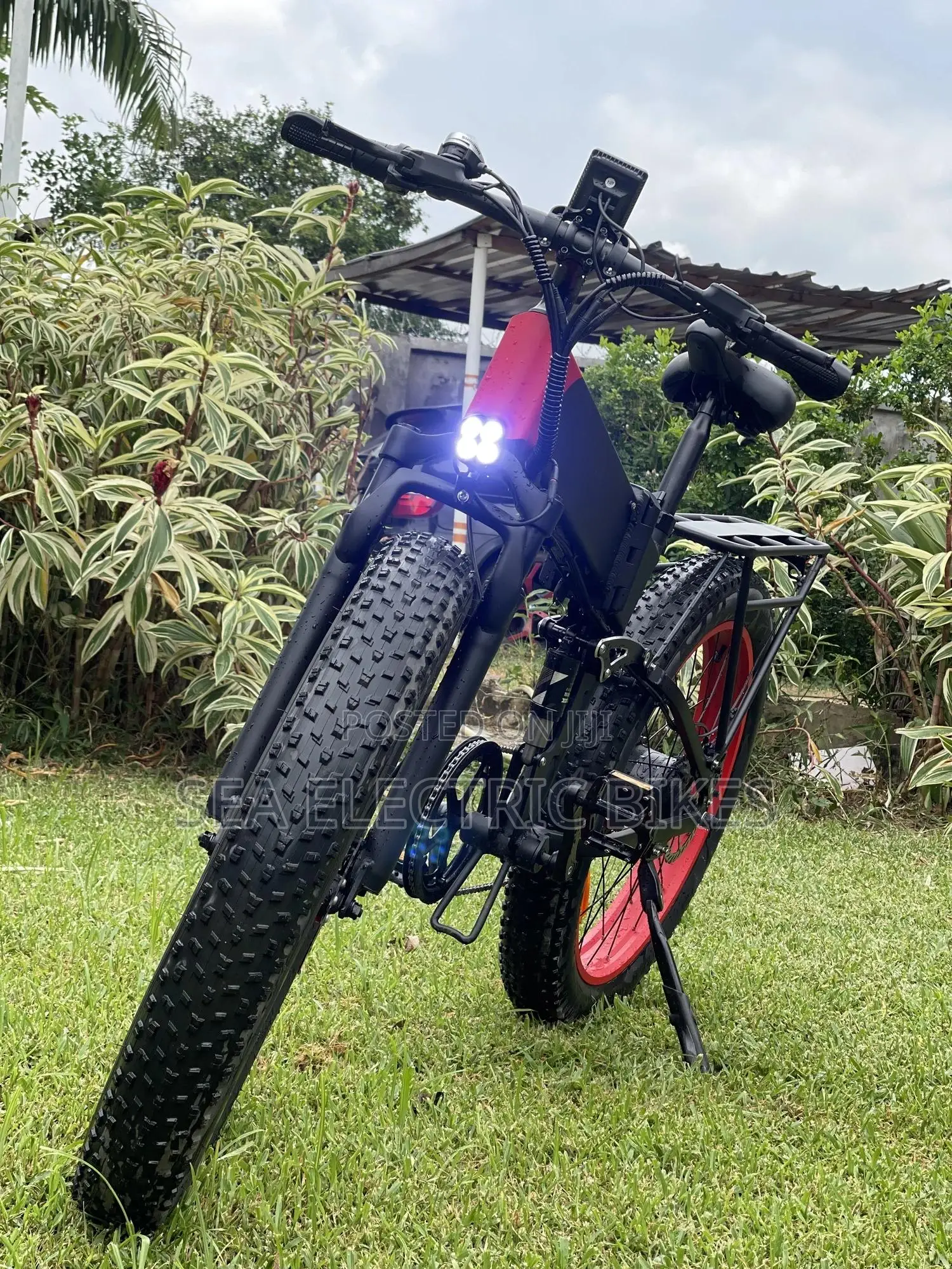 Foldable Electric Bike / E Bike