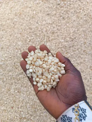 Maize (White Yellow)