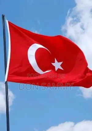 Turkey Visit With Job