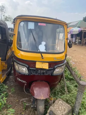 Tricycle 2024 Brown