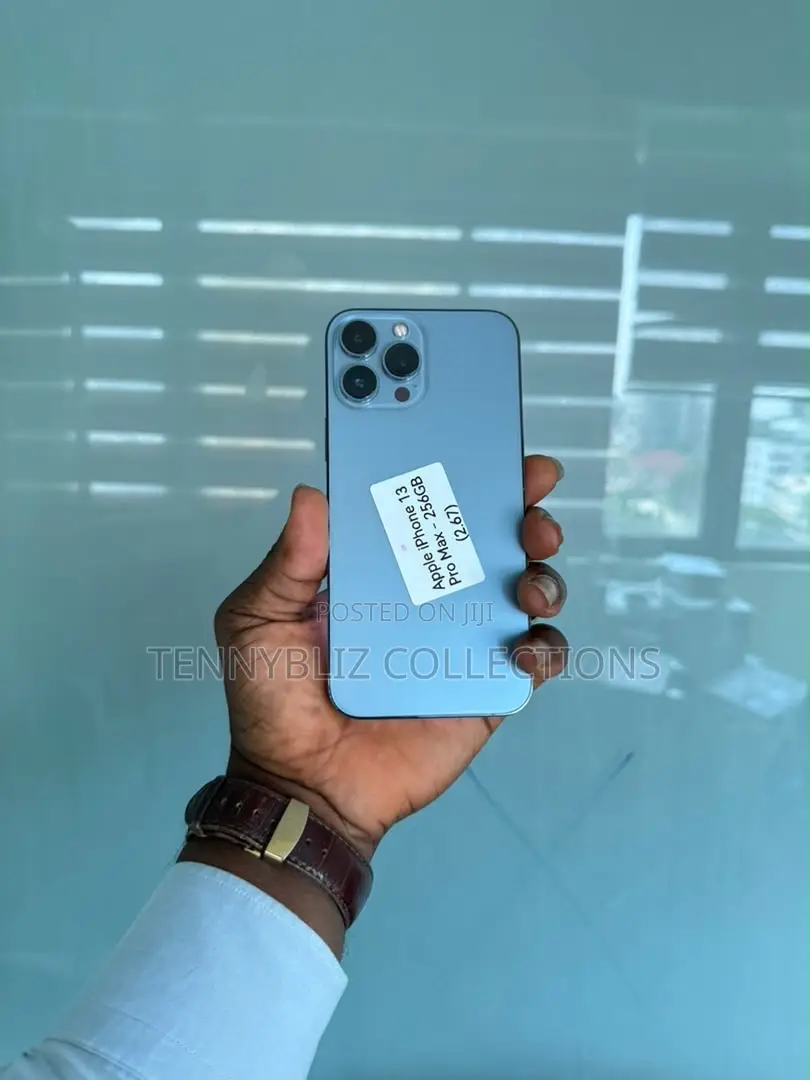Apple iPhone 13 Pro Max 256 GB