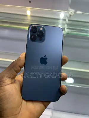 Apple iPhone 12 Pro Max 256 GB Blue