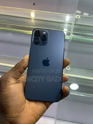 Apple iPhone 12 Pro Max 256 GB Blue