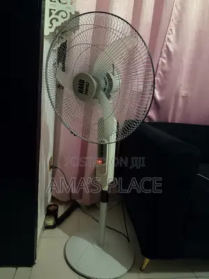 Electric Fan