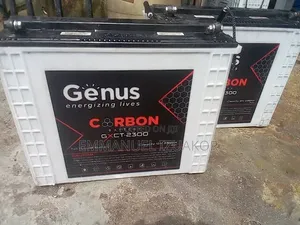 Belgium Batteries Genus 220amps Tubular