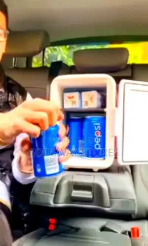 Portable Mini Car Fridge