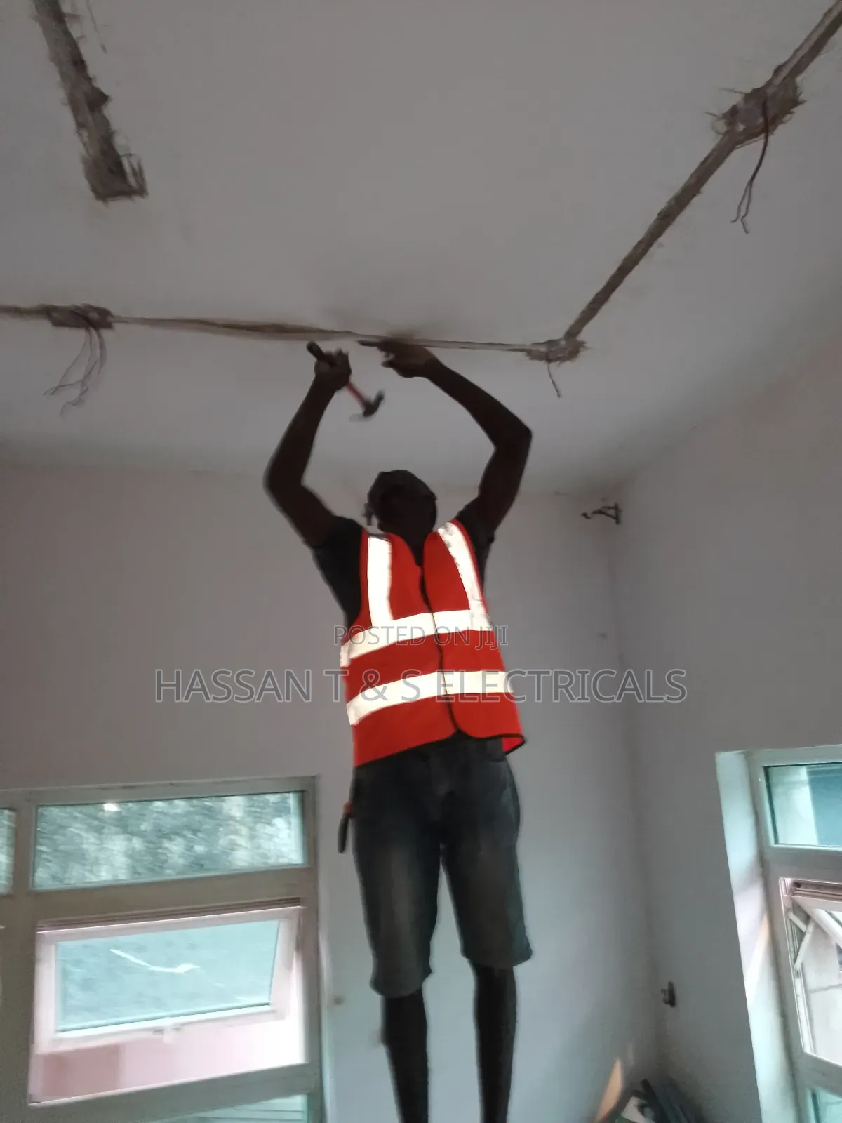 Professional Electrician