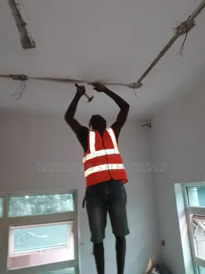 Professional Electrician