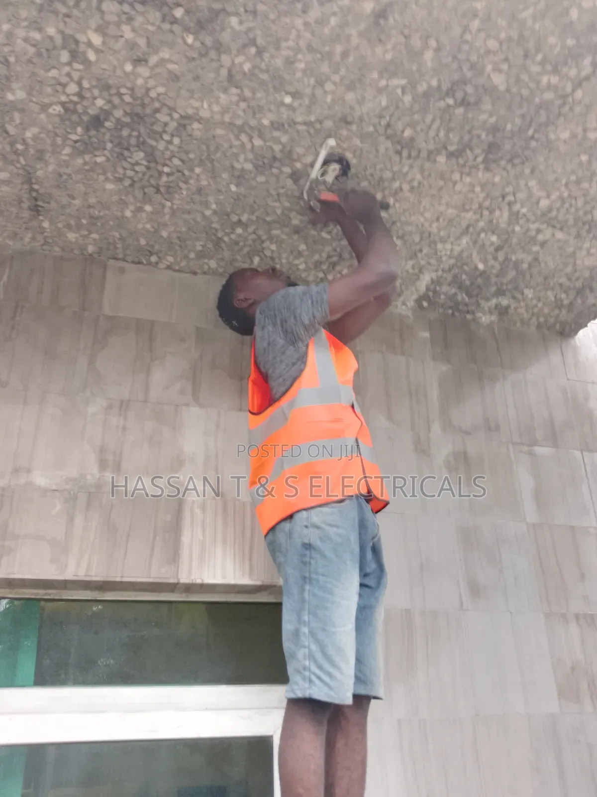 Professional Electrician