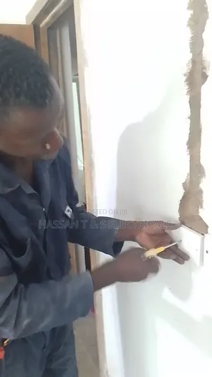 Professional Electrician
