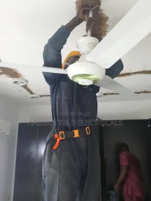 Professional Electrician