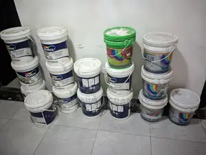 Dulux Paint
