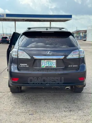 Lexus RX 350 2010 Gray
