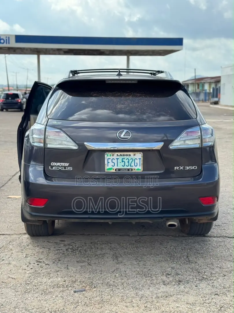 Lexus RX 350 2010 Gray