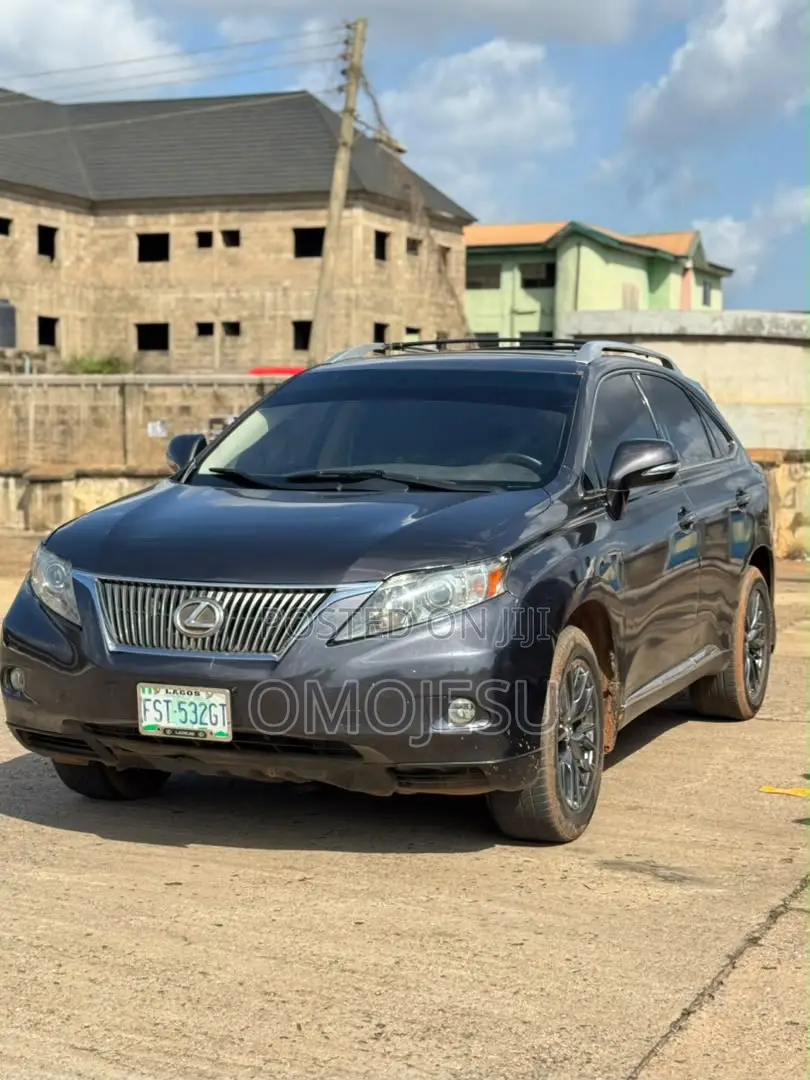 Lexus RX 350 2010 Gray