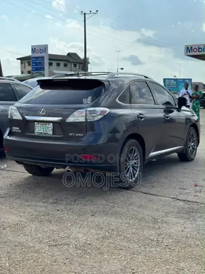 Lexus RX 350 2010 Gray