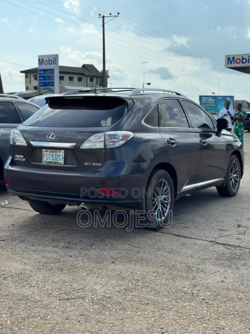 Lexus RX 350 2010 Gray