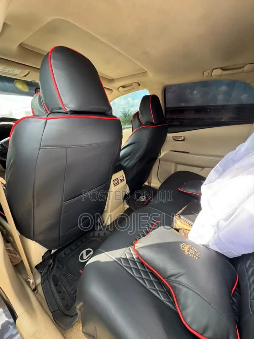 Lexus RX 350 2010 Gray