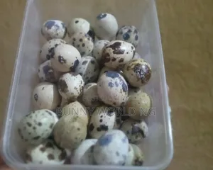 Quail Eggs