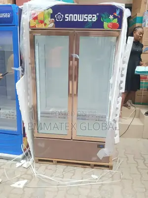Chiller Double Door Refrigerator for Drinks