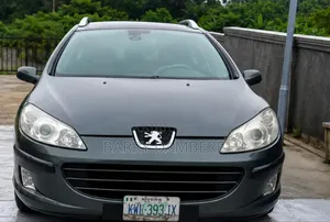 Peugeot 407 2006 Gray